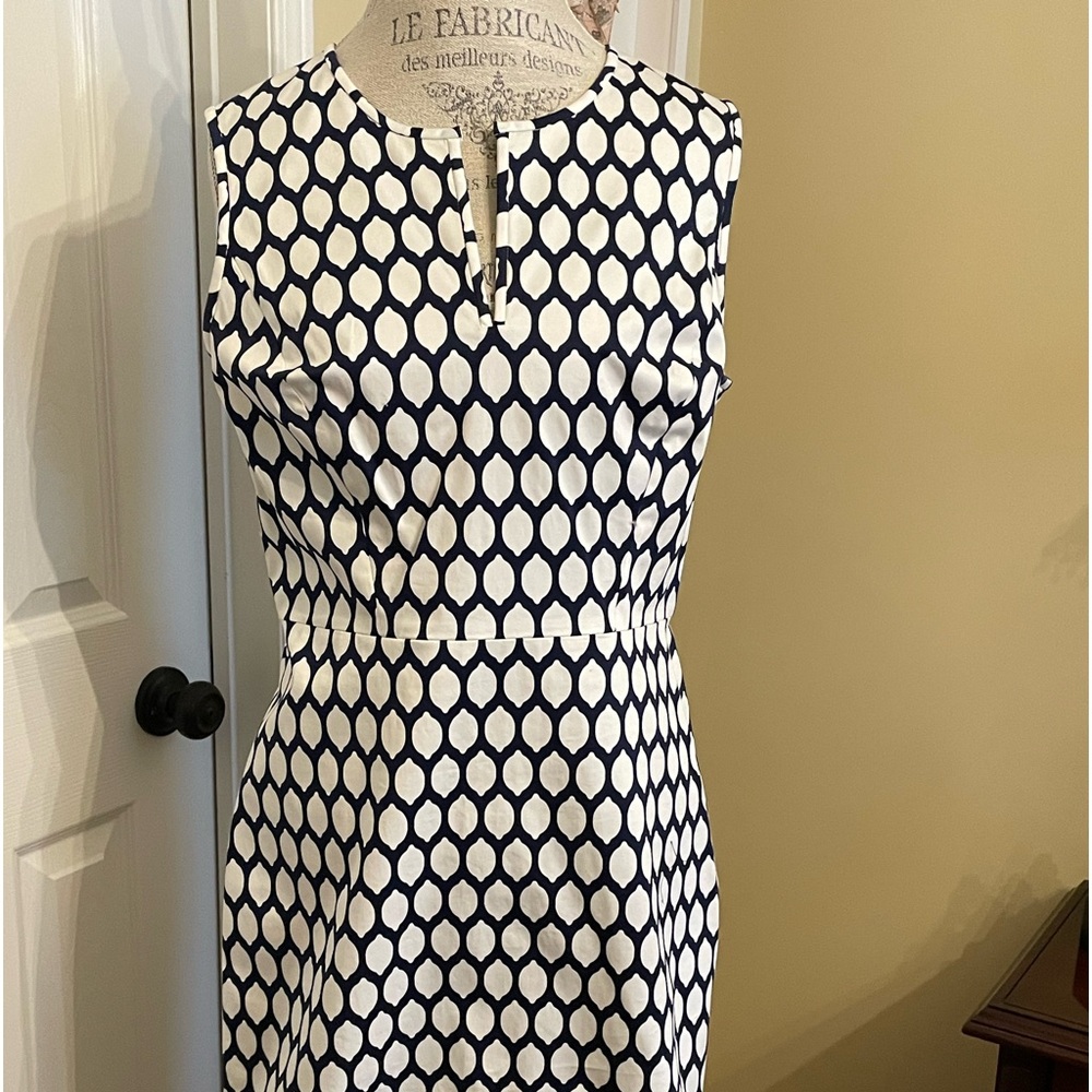 Navy and white